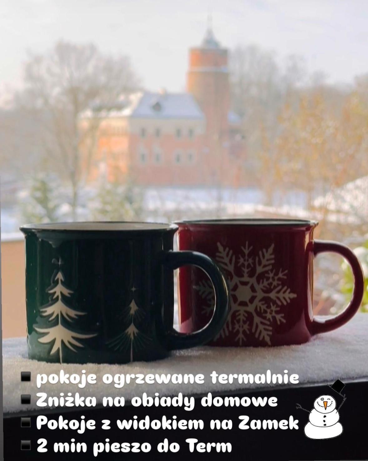 Pokoje Przy Bulwarach Uniejów Exterior foto